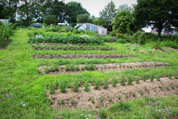 Les Herbes Vagabondes à Ploëzal